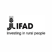 IFAD Logo